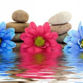 Masajesss depilacion full promo